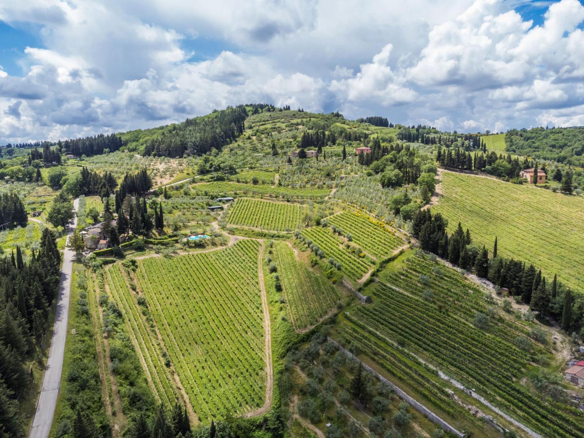 Villa Locazione Turistica San Rocco-1 Greve in Chianti Esterno foto