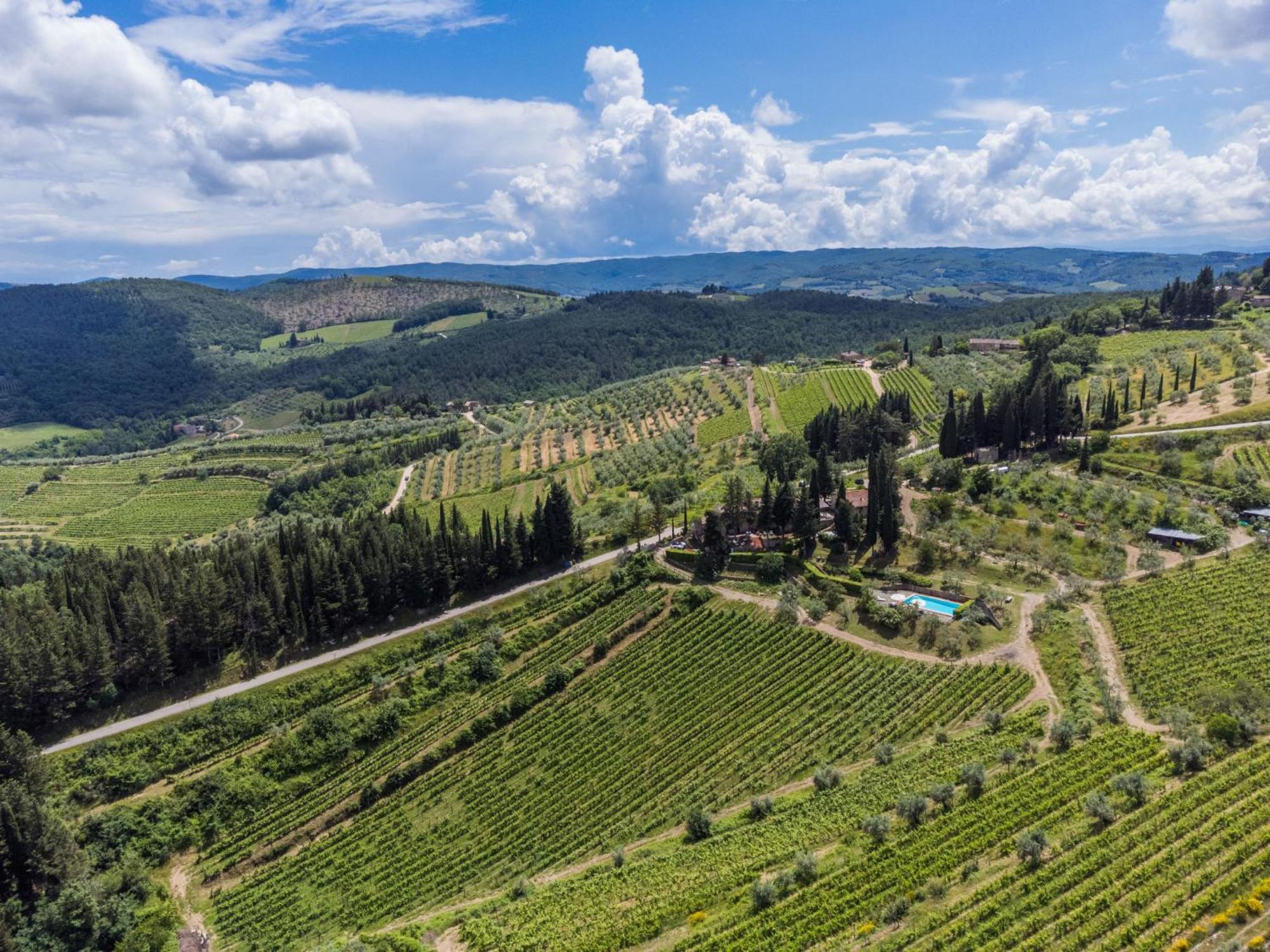 Villa Locazione Turistica San Rocco-1 Greve in Chianti Esterno foto